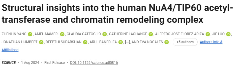 人類NuA4/TIP60乙酰轉(zhuǎn)移酶和染色質(zhì)重塑復(fù)合物的結(jié)構(gòu)見(jiàn)解 人類NuA4/TIP60乙酰轉(zhuǎn)移酶和染色質(zhì)重塑復(fù)合物的結(jié)構(gòu)見(jiàn)解