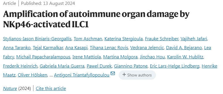 CNKp46激活的ILC1放大自身免疫器官損傷 CNKp46激活的ILC1放大自身免疫器官損傷