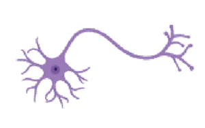 Science Advances：一種能量產(chǎn)生酶在治療帕金森病中的作用
