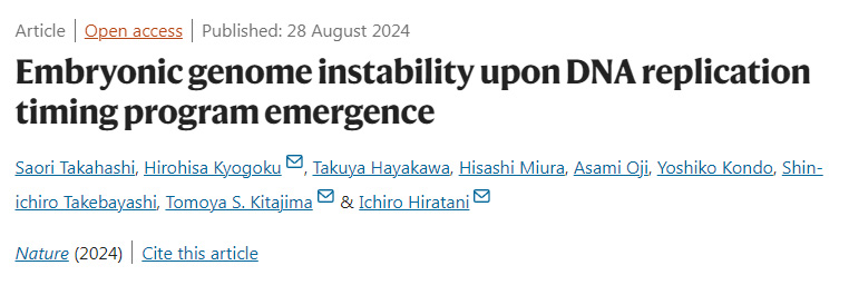 DNA復(fù)制定時程序出現(xiàn)時胚胎基因組的不穩(wěn)定性 DNA復(fù)制定時程序出現(xiàn)時胚胎基因組的不穩(wěn)定性