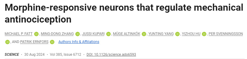 調(diào)節(jié)機(jī)械性鎮(zhèn)痛的嗎啡反應(yīng)神經(jīng)元 調(diào)節(jié)機(jī)械性鎮(zhèn)痛的嗎啡反應(yīng)神經(jīng)元