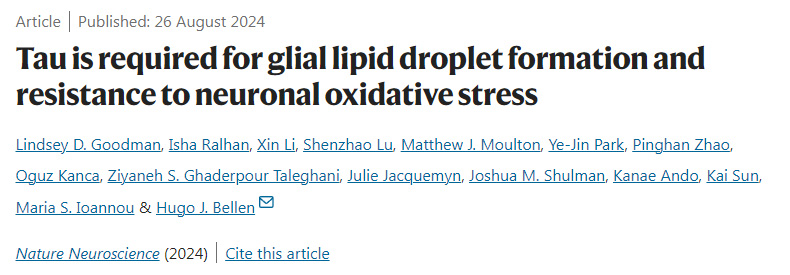 Tau是膠質(zhì)脂滴形成和抵抗神經(jīng)元氧化應(yīng)激所必需的 Tau是膠質(zhì)脂滴形成和抵抗神經(jīng)元氧化應(yīng)激所必需的