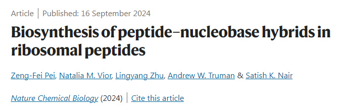 
核糖體肽中肽-核堿基雜合物的生物合成