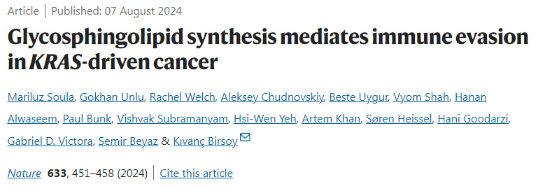 糖鞘脂合成介導KRAS驅(qū)動的癌癥免疫逃避 糖鞘脂合成介導KRAS驅(qū)動的癌癥免疫逃避