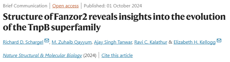 
Fanzor2的結(jié)構(gòu)揭示了TnpB超家族進化的見解