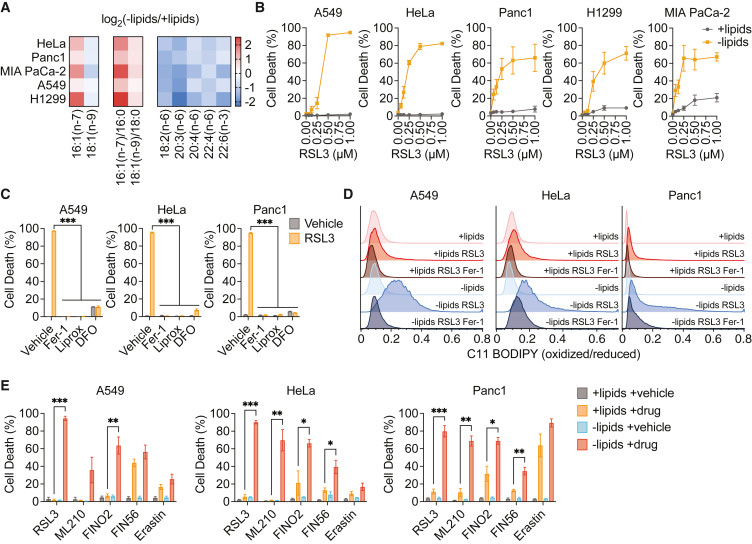 
脂質限制使癌癥細胞對脫鐵敏感