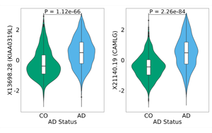 科學(xué)家發(fā)現(xiàn)了阿爾茨海默病檢測和治療的腦脊液標志物