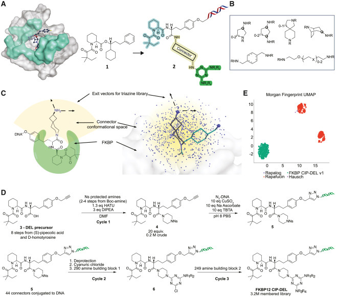 文庫設(shè)計與合成 文庫設(shè)計與合成