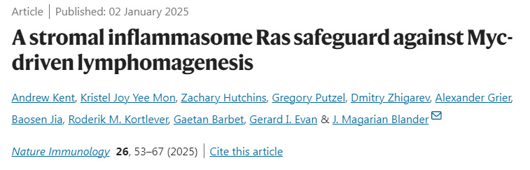 基質(zhì)炎性小體Ras對(duì)Myc驅(qū)動(dòng)的淋巴結(jié)生成的保護(hù)作用