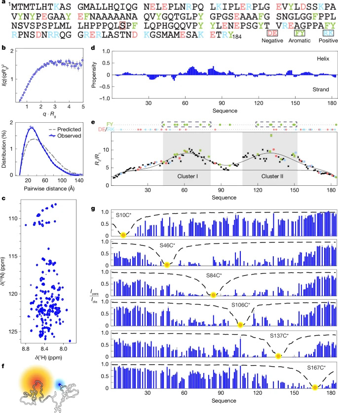 ER-NTD中的疏水性聚集 ER-NTD中的疏水性聚集