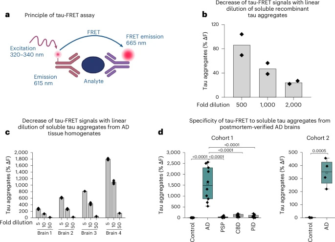 FRET檢測的神經(jīng)病理學驗證，該檢測特異性識別AD中的STA，但不識別其他神經(jīng)退行性tau蛋白路徑