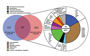 PNAS：萬萬沒想到，結(jié)核桿菌自己提供促進空氣傳播的基因