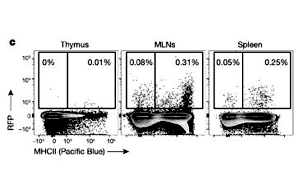 Nature：T細(xì)胞也需要“早教”，只要細(xì)菌教得好，機(jī)體免疫差不了！