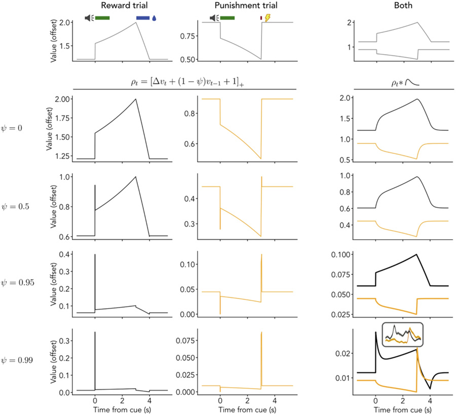 價(jià)值前瞻性編碼的簡(jiǎn)化模型解釋血清素神經(jīng)元對(duì)短期獎(jiǎng)賞與懲罰的響應(yīng)機(jī)制