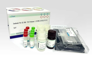 深度求索“TEV 蛋白酶”應(yīng)用場(chǎng)景與檢測(cè)