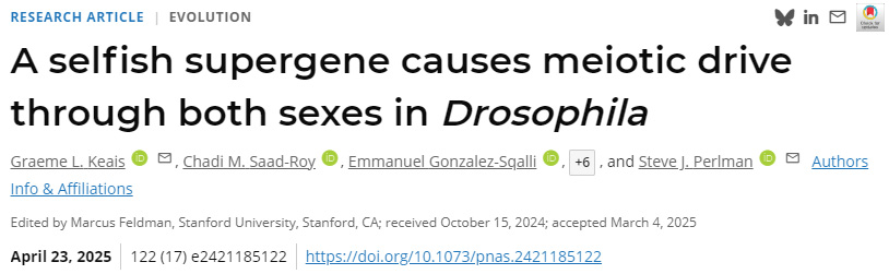  一種自私超基因在果蠅雌雄兩性中引發(fā)減數(shù)分裂驅(qū)動