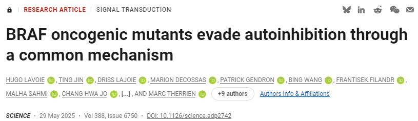 BRAF致癌突變體通過(guò)共同機(jī)制規(guī)避自身抑制