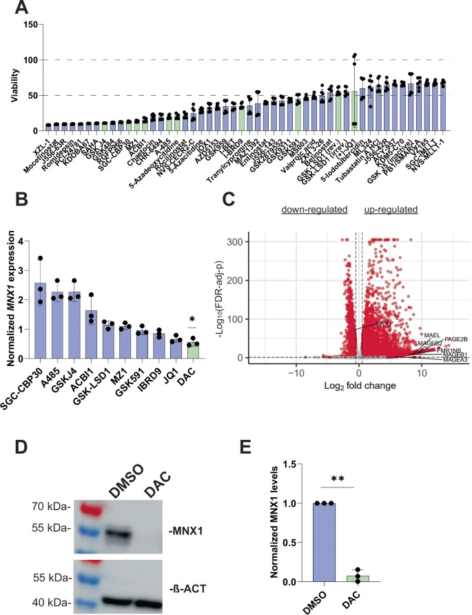 5-氮雜-2'-脫氧胞苷(DAC)介導的MNX1表達抑制 5-氮雜-2'-脫氧胞苷(DAC)介導的MNX1表達抑制