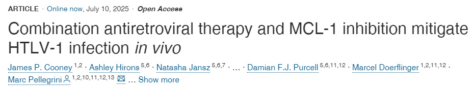 體內實驗表明:聯(lián)合抗逆轉錄病毒療法與MCL-1抑制可緩解HTLV-1感染 體內實驗表明:聯(lián)合抗逆轉錄病毒療法與MCL-1抑制可緩解HTLV-1感染