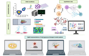 Cell：多年、多實驗室合作，科學家們成功模擬癌細胞