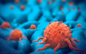 靶向β-連環(huán)蛋白共享突變的TCR-T細胞療法：實體瘤治療新突破