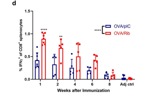 將免疫療法效果提升近3倍！這款進(jìn)入1期臨床的抗癌疫苗，會(huì)是癌癥“終結(jié)者”嗎？