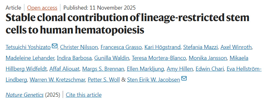 譜系限制性干細(xì)胞對人類造血的穩(wěn)定克隆貢獻