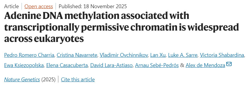 肥胖重塑脂肪組織中CD8+ T細(xì)胞的鐵代謝以加劇代謝性炎癥 肥胖重塑脂肪組織中CD8+ T細(xì)胞的鐵代謝以加劇代謝性炎癥