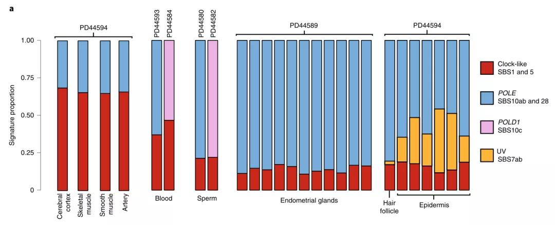 人為什么會得癌癥？《自然》子刊對體細(xì)胞、胚胎、精子測序發(fā)現(xiàn)重要基因！