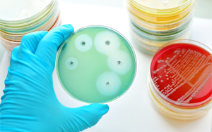 【廣譜抑菌】- 氯霉素