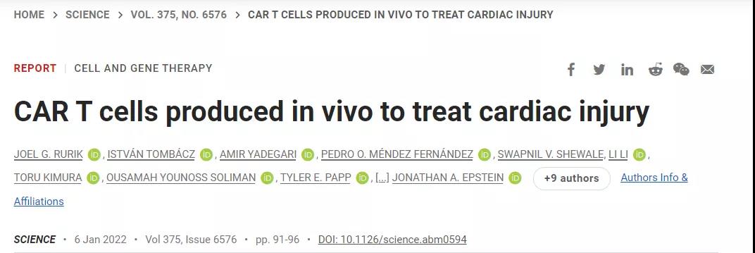 CAR-T技術(shù)再升級(jí)！無(wú)需體外編程T細(xì)胞，一針注射修復(fù)受損心臟，省錢(qián)又省心！