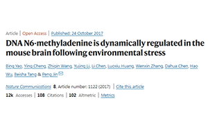 別再emo了，情緒真的能夠改變基因！