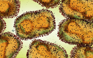 猴痘病毒新基因測序結(jié)果公布，近似于英國三年前毒株