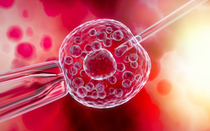 全能干細胞又添新證據(jù)!Nature子刊：科學家成功修復(fù)豬受損心臟