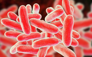 已確診19例！繼新冠和猴痘之后，美國(guó)軍團(tuán)病疫情來(lái)勢(shì)洶洶