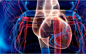 新冠導(dǎo)致糖尿病風(fēng)險提高81%，心血管疾病風(fēng)險增加6倍
