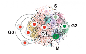 癌細(xì)胞殺不完？不如試試將腫瘤“永久休眠”！
