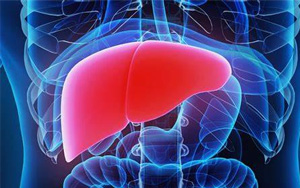 研究人員發(fā)現(xiàn)了非酒精性脂肪性肝炎的新分子靶點(diǎn)