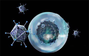 “抗癌利器”療效再提升！賓大研究團(tuán)隊(duì)開(kāi)發(fā)的免疫療法CAR-T再獲突破