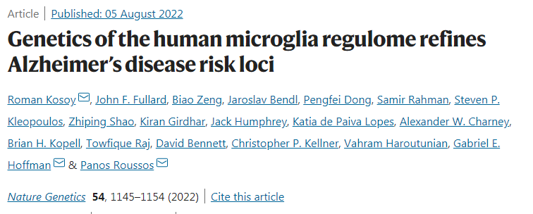 人類小膠質(zhì)細(xì)胞如何促進(jìn)阿爾茨海默病(AD)的發(fā)生和發(fā)展的