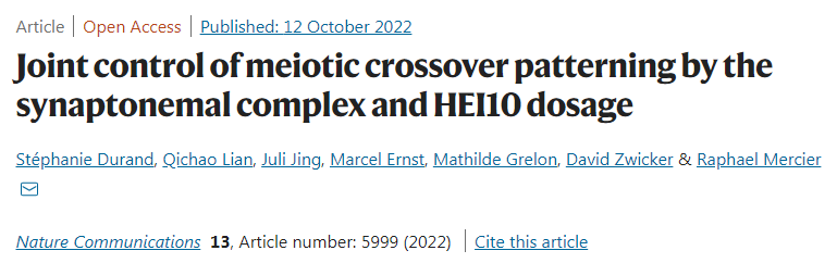 通過(guò)突觸復(fù)合體和HEI10聯(lián)合控制減數(shù)分裂交叉模式