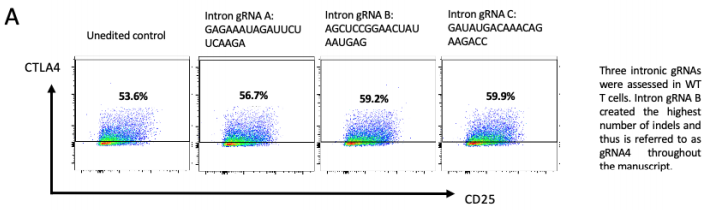  FACs圖示三種不同gRNA靶向基因內區(qū)經核轉染后代表性的正常CTLA-4表面表達