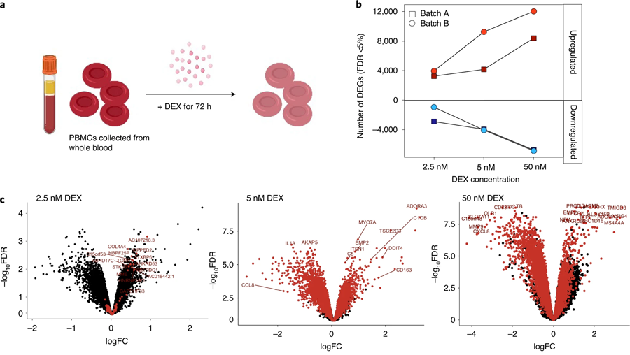 周邊血液單核細胞對地塞米松的轉錄相應