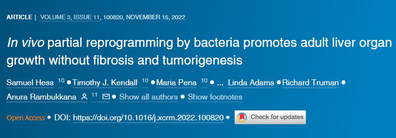 一種可能進化為幫助對抗感染的免疫反應(yīng)似乎是驅(qū)使人類免疫缺陷病毒(HIV)進入潛伏狀態(tài)的機制