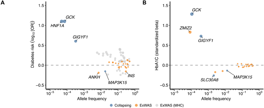 英國(guó)生物樣本庫(kù)（UKB）中歐洲血統(tǒng)糖尿病患者與相關(guān)特征的遺傳關(guān)聯(lián)