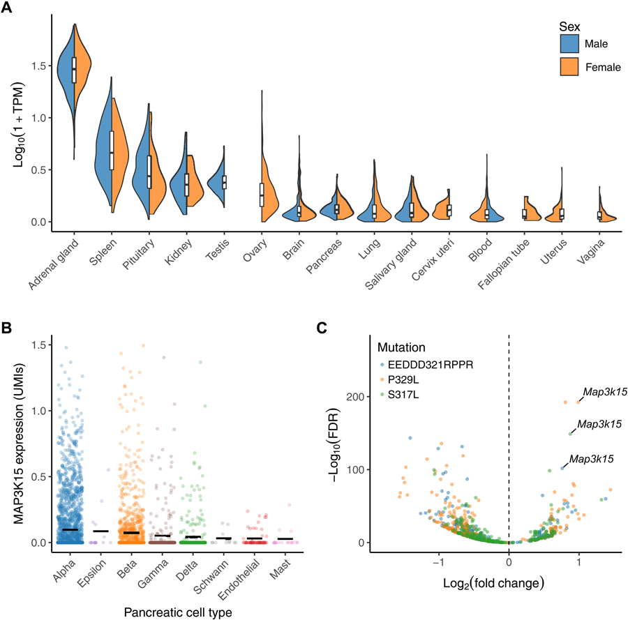 MAP3K15的組織表達(dá)譜