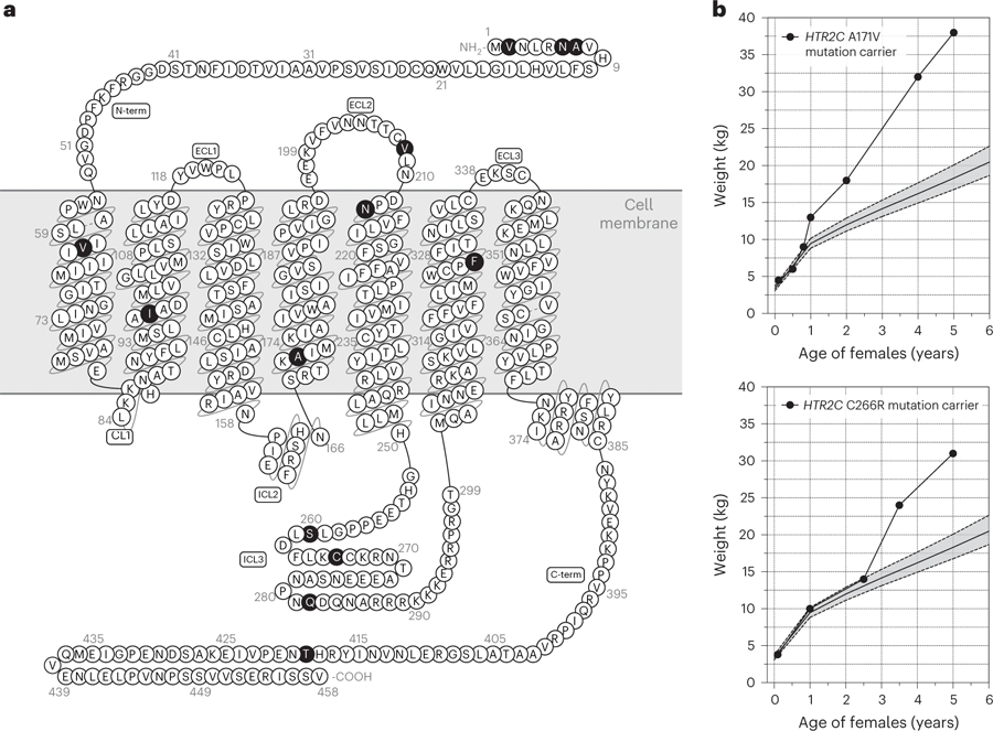 嚴(yán)重肥胖人群中發(fā)現(xiàn)的影響5-HT2CR的罕見變異