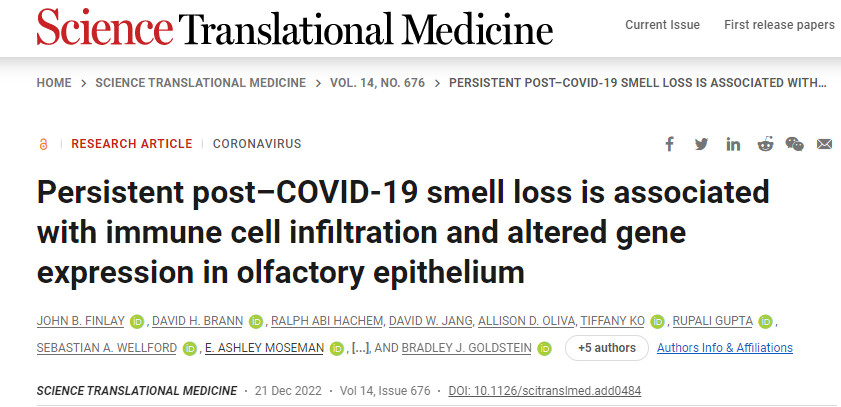 新冠肺炎后無法恢復嗅覺與免疫系統(tǒng)對嗅覺神經(jīng)細胞的持續(xù)攻擊以及這些細胞數(shù)量的相關下降有關