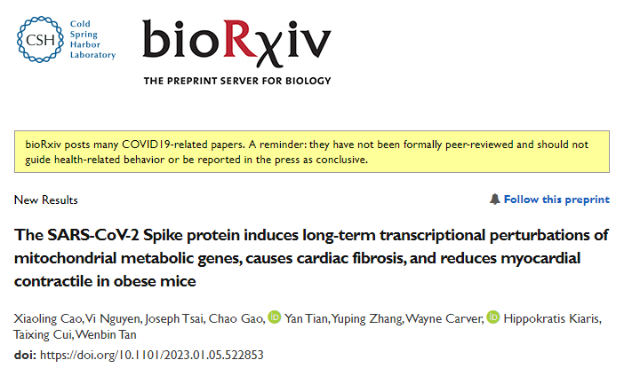 研究團隊發(fā)現(xiàn)新冠病毒的S蛋白可誘導線粒體代謝基因的長期轉(zhuǎn)錄抑制并導致心臟纖維化和心肌收縮損傷