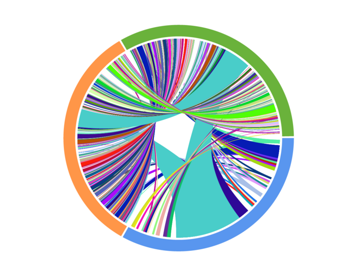 在接受抗pd1治療的患者身上收集的匹配T細胞受體測序結(jié)果的Circos圖